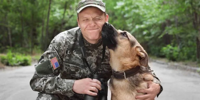 disabled veteran man in uniform with his dog